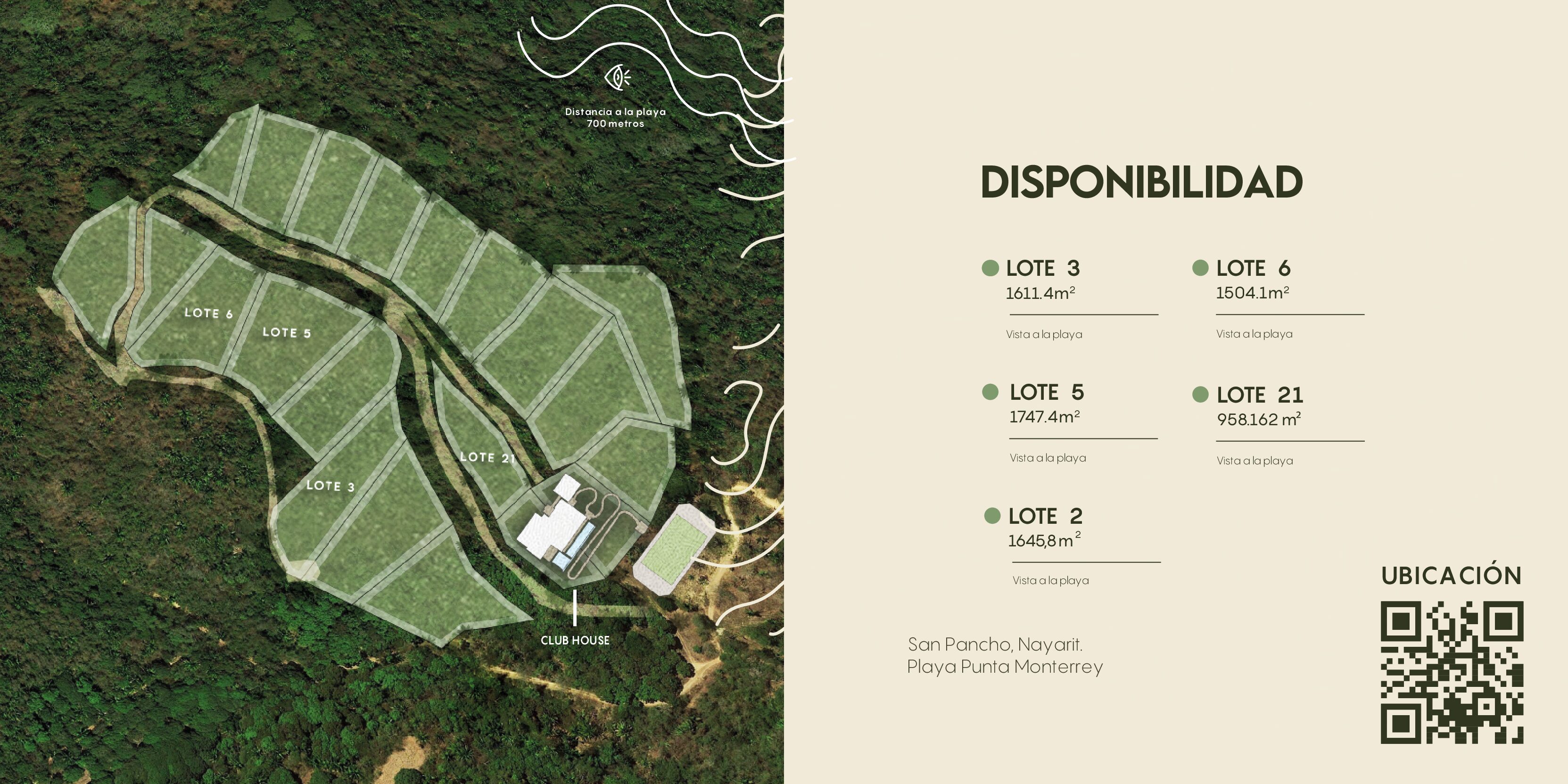 Disponibilidad-AS_12.11.2024